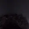 Beverlyhaleybutts_ - @beverlyhaley_ - TikTok