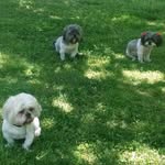 Beverly Byrd - @bevbyrd67 - Instagram