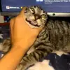 Caden Beverly - @caden.beverly - TikTok