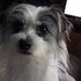 Beverly Calkins - Facebook