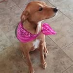 Beverly Redhead Calkins - @redheadcalkins - Instagram