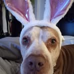 Beverly Call  - Facebook