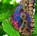 Beverly Callaway - Facebook