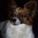 Beverly Calloway - Facebook