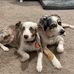 Camden Beverly - Facebook