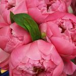 Beverly Campbell - @beverlysflorist - Instagram