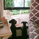 Beverly Campbell - @beverlycampbell2774 - Instagram