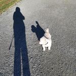 Beverly Canaday Janzen - @backinchimecreations - Instagram