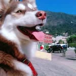 Beverly Canales - @beverlycanales60 - Instagram