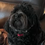 Beverly Carbone - @beverlycarbone1 - Instagram