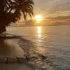 beverleycardwell - @beverleycardwell - TikTok
