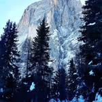 Beverly Carey - @beverlycarey9384 - Instagram