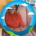 Beverly Cargill - Facebook