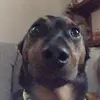 Beverly Carlson - @beverlycarlson.239 - TikTok