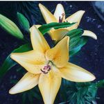 Beverly Carlson - @beverlycarlson131 - Instagram