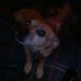 Beverly Carlyle - Facebook