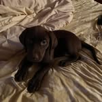 Beverly Carlyle Daniel Lacey - @mommas3jewels - Instagram