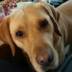 Beverley Carrigan - @carrigan.bev - Instagram