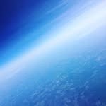 Beverly Carrigan - @bev.carrigan - Instagram