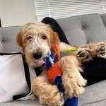 Beverly Carroll - @beverly.carroll_ - Instagram