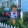 beverlycartwright1 - @beverlycartwright1 - TikTok