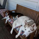 Beverly Caruthers (Skukan) - @beverlycaruthersskukan - Instagram