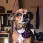 Beverly Carver - @beverly.carver.754 - Instagram