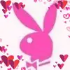 Beverley Casey - @beverleycasey - TikTok