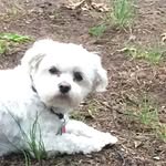 Beverly Chapman - @beverlychapman59 - Instagram