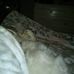 Beverly Chism - Facebook