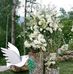 Beverly Chism - Facebook