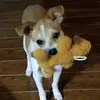 Beverly Chism Mitchell - @beverly.chism.mit - TikTok