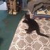 Beverly Cooper - Facebook