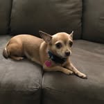 Beverly Cornish - @cornish_beverly - Instagram