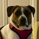 Beverly Covington - @florence_flossie_nadine - Instagram