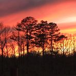 Bev Crain - Facebook