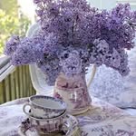 Beverly Crain - @beverly.crain.1 - Instagram