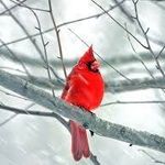 Beverly Custer - @beverlycuster - Instagram