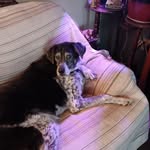Beverly Dean - @beverly.dean.3939503 - Instagram