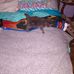 Beverly Dennison - Facebook