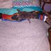 Beverly Dennison - Facebook