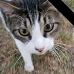 Beverly Dennison - @beverlydennison78 - Instagram