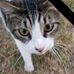 Beverly Dennison - Facebook