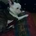 Beverly Dickinson - Facebook