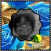 Beverly Dixon - Facebook