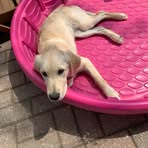 Beverly Dulle - Facebook