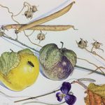 Beverly Duncan - @beverlykduncan - Instagram