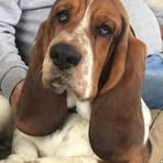 Beverly Dunkin - Facebook