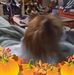 Beverly Dunkin - Facebook