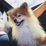 Beverly Dunn - @beverly_dunn_715998 - Instagram